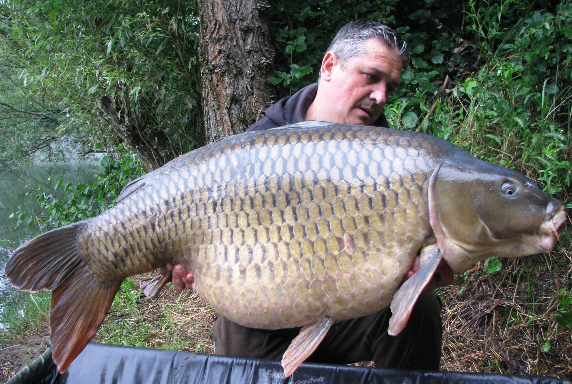 Pelagicevo Jezero - final iunie 2015 - img2200.JPG